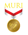 /images/achievement_muri.png